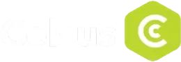 Celsus Logo