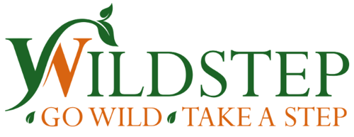 Wildstep Logo.png